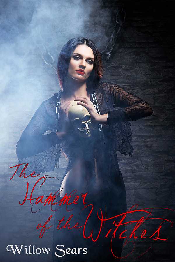 The Hammer of the Witches - ebook