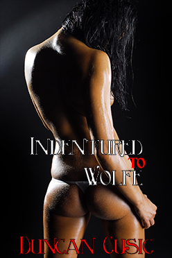 Indentured to Wolfe - ebook