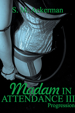 Madam in Attendance III: Progression - ebook